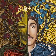 The P.I.D. Files mp3 Album by Burning