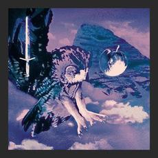 Night Flight Europa mp3 Album by Palmbomen