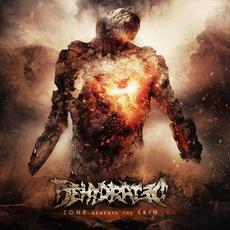 Zone Beneath The Skin mp3 Album by Dehydrated (2)