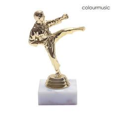 Trophy mp3 Single by Colourmusic