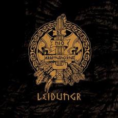 De nio kraftsångerna mp3 Album by Leidungr