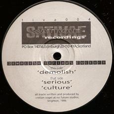Demolish Serious Culture mp3 Single by Cristian Vogel