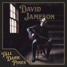 Tall Dark Pines mp3 Album by David Jameson