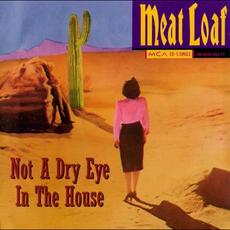 Not a Dry Eye in the House mp3 Single by Meat Loaf
