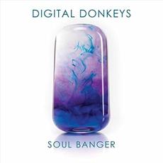 Soul Banger mp3 Album by Digital Donkeys