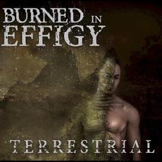 Terrestrial mp3 Album by Burned in Effigy