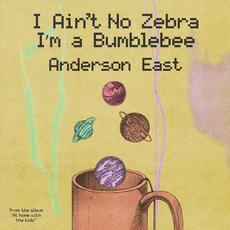 I Ain't No Zebra I'm a Bumblebee mp3 Single by Anderson East