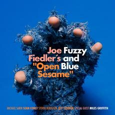 Fuzzy and Blue mp3 Album by Joe Fiedler