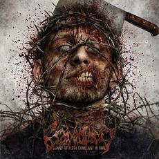 Supply of Flesh Came Just in Time mp3 Album by Craniotomy