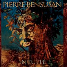 Intuite mp3 Album by Pierre Bensusan