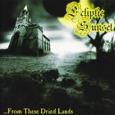 ...From These Dried Lands mp3 Album by Ecliptic Sunset