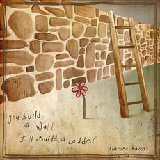 You Build A Wall, I'll Build A Ladder (Deluxe Edition) mp3 Album by Abandon Kansas