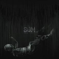 The Fall mp3 Album by Som