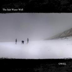The Salt Water Well mp3 Album by OWEL