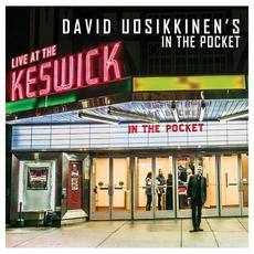 Live At The Keswick Theatre mp3 Live by David Uosikkinen's In The Pocket