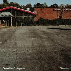 Conventional Comforts mp3 Album by Trouvère