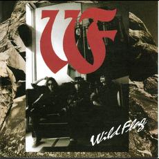 Wild Flag mp3 Album by Wild Flag (2)