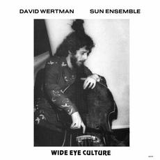 Wide Eye Culture (Deluxe Version) mp3 Album by David Wertman, Sun Ensemble