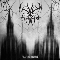 Fallen Cathedrals mp3 Album by Ashen Horde