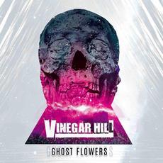 Ghost Flowers mp3 Album by Vinegar Hill