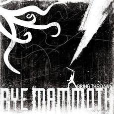 Bring the Dawn mp3 Album by Aye Mammoth