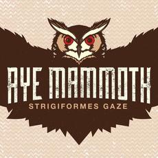 Strigiformes Gaze mp3 Album by Aye Mammoth