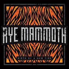 Birth of a New Fire mp3 Album by Aye Mammoth