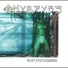 Electric Voodoo mp3 Album by Hybryds