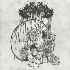 Despise mp3 Single by Leechmonger