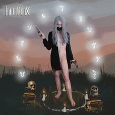 In Hindsight mp3 Album by Flummox