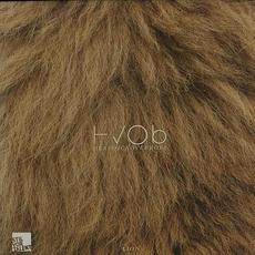 Lion mp3 Single by HVOB