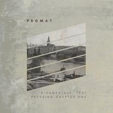 RIGAMENTALS: TEST PRESSING CHAPTER ONE mp3 Album by PRGMAT