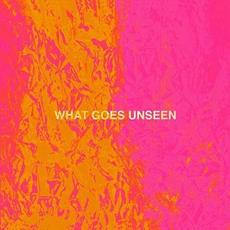 What Goes Unseen mp3 Album by Demons of Ruby Mae