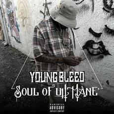 Soul Of Uh` Mane` mp3 Single by Young Bleed
