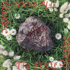 The Fool mp3 Album by Bladee
