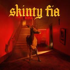 Skinty Fia mp3 Album by Fontaines D.C.