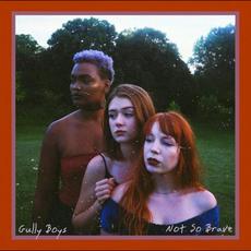 Not So Brave mp3 Album by Gully Boys