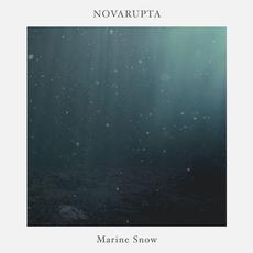 Marine Snow mp3 Album by Novarupta