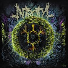 Adfectus mp3 Album by Introtyl