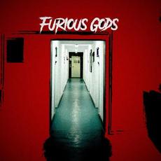 Furious Gods mp3 Single by Slvmber