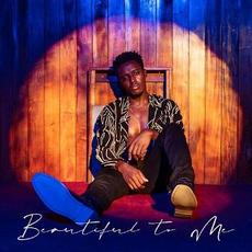 Beautiful to Me mp3 Single by Romain Virgo