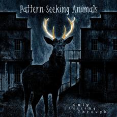 Only Passing Through mp3 Album by Pattern-Seeking Animals