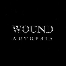 Wound mp3 Artist Compilation by Autopsia