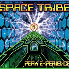Peak Experience mp3 Artist Compilation by Space Tribe