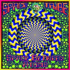 Space Between Atoms mp3 Album by Space Tribe