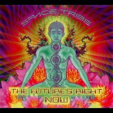 The Future's Right Now mp3 Album by Space Tribe