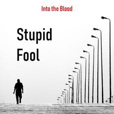 Stupid Fool mp3 Single by Into the Blood