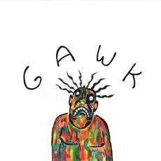 Gawk mp3 Album by Vundabar