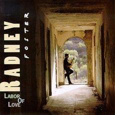 Labor of Love mp3 Album by Radney Foster