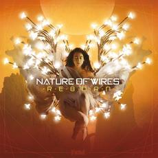 Reborn mp3 Album by Nature of Wires